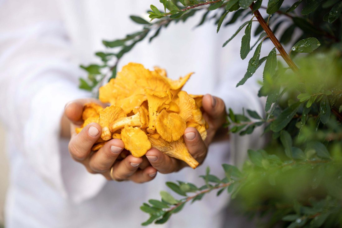 The natural hotel in St. Michael im Lungau The natural hotel in St. Michael im Lungau